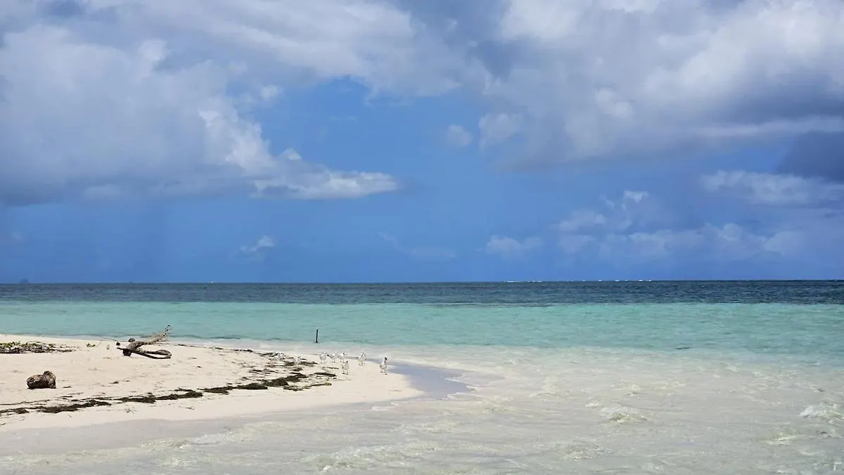 Villa Iguana Deshaies