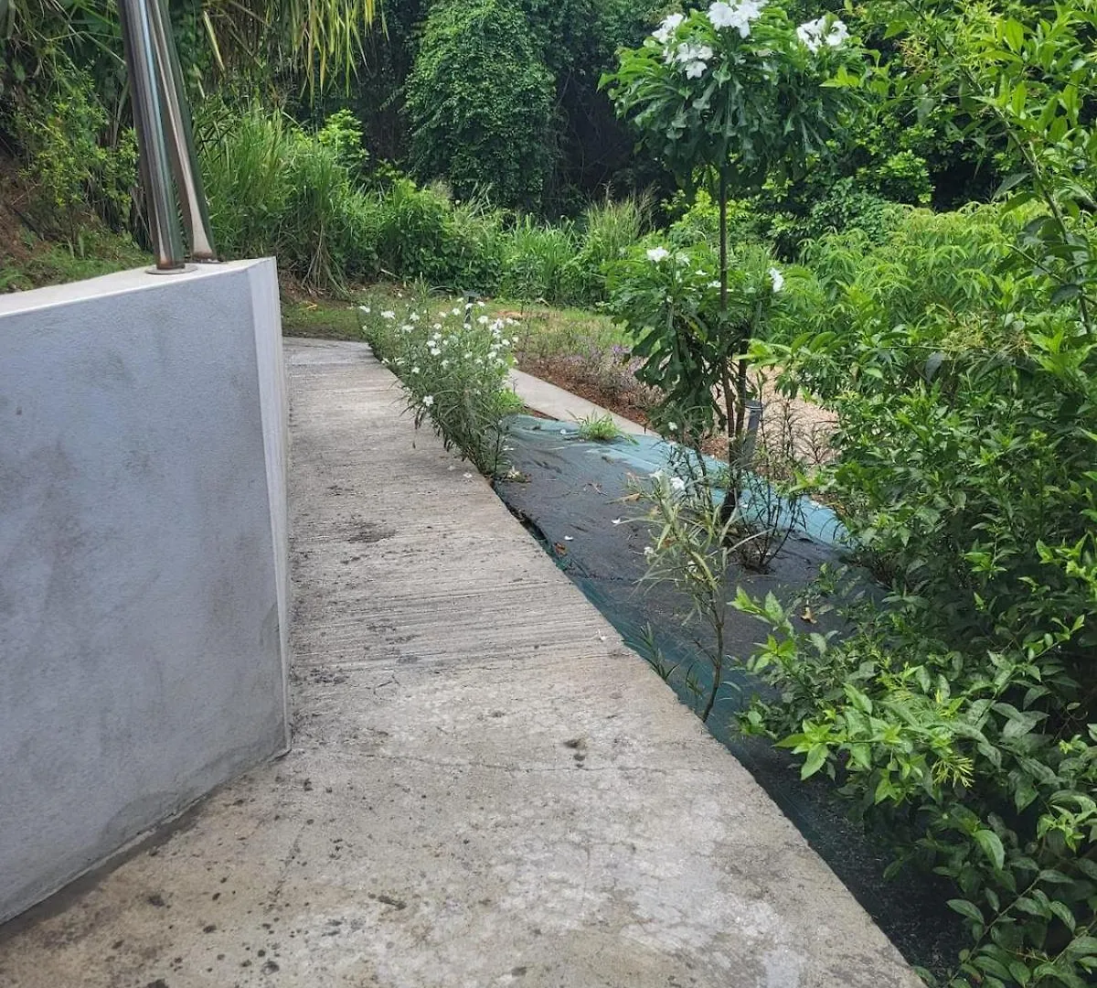 Villa Iguana Deshaies
